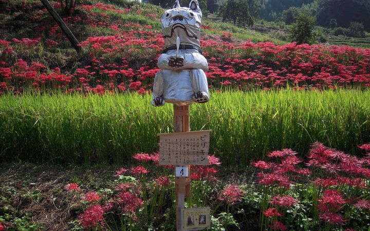 稲渕梯田的稻草人與周圍成片的紅色彼岸花