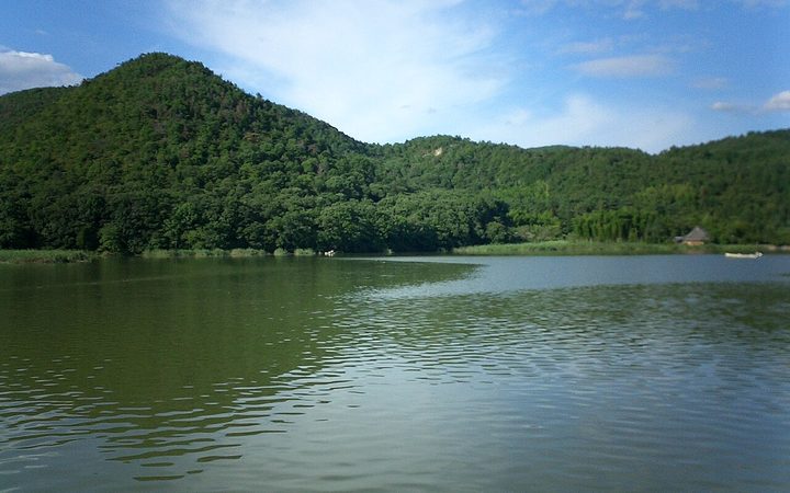 広沢池的水面與後方的山
