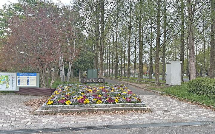 花博記念公園鶴見緑地入口附近的花壇與林蔭步道