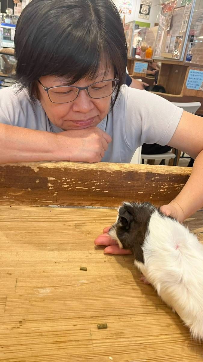 媽媽低頭看桌上的天竺鼠